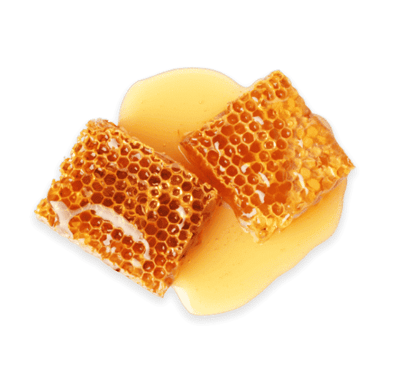 Bees wax