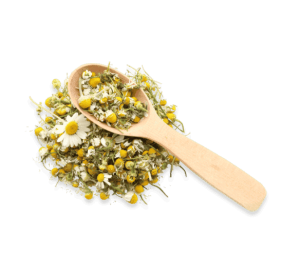 Camomile