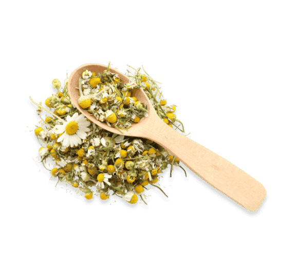 Camomile