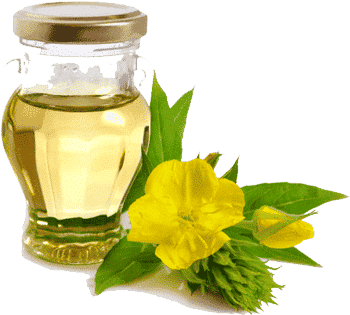 Evening Primrose Oil