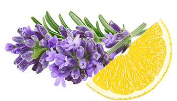 Lavander-and-Lemon