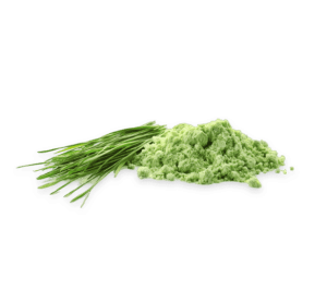 Barley grass