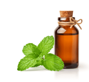 essential oils of peppermint