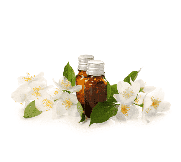 jasmine oil