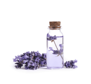 lavender oil