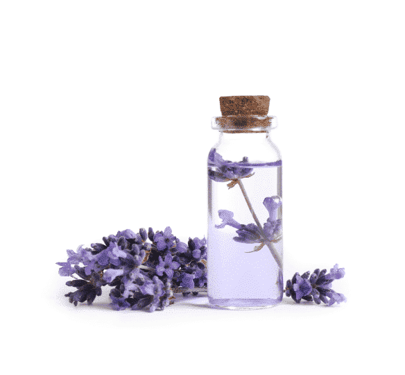 lavender oil