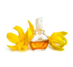 ylang ylang oil