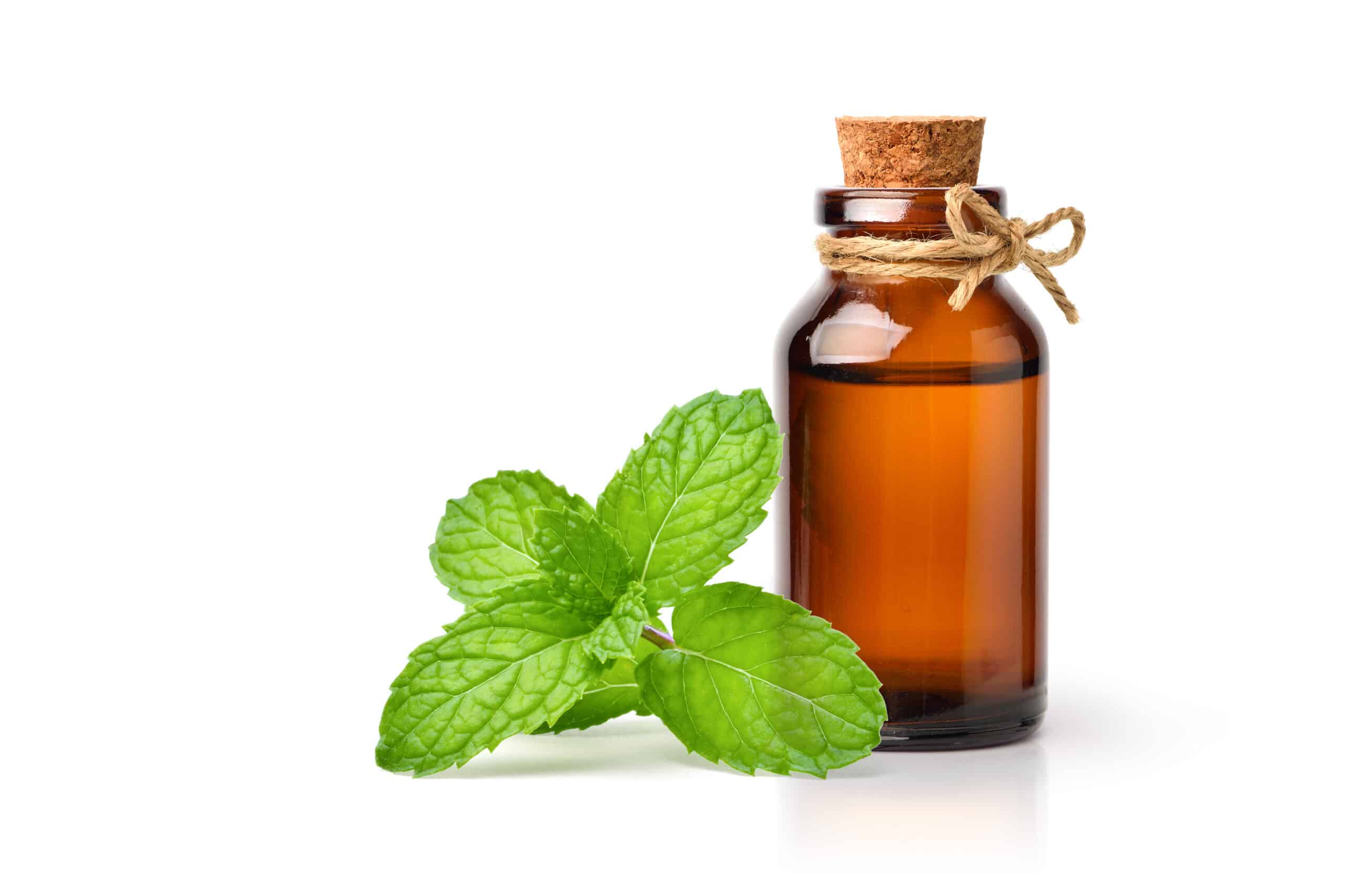 Peppermint Essential Oil